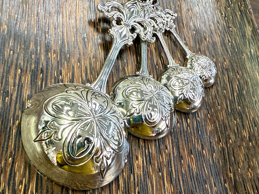 Fleur De Lis Measuring Spoon Set